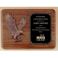 Airflyte Collection Plaque w/ Antique Bronze Relief Eagle (11"x15")